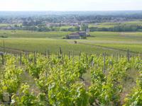 Rhône & Saône 2014 (135)