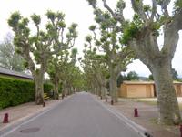 Rhône & Saône 2014 (152)