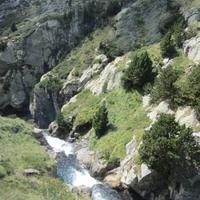 Ribes de Freser
