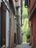 Riquewihr