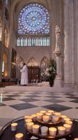 Rosettenfenster Notre Dame.jpg