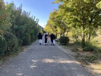 Sénanque 