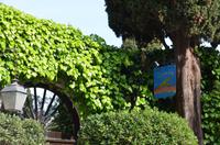 Saint-Paul-de-Vence