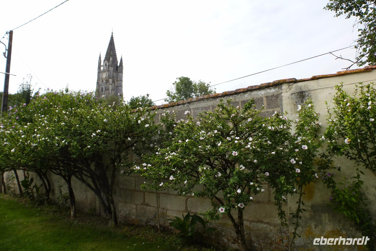 Saintes (8)