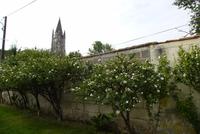 Saintes (8)