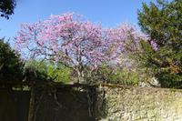 Saintes 