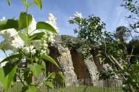 Saintes 