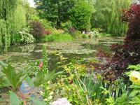 Samstag, 23.5.2015 Giverny, Fondation Claude Monet, Seerosenteich