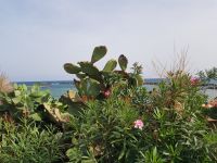 San Remo Strand