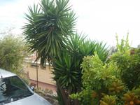 San Remo
