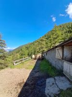 Schweizer Alpen