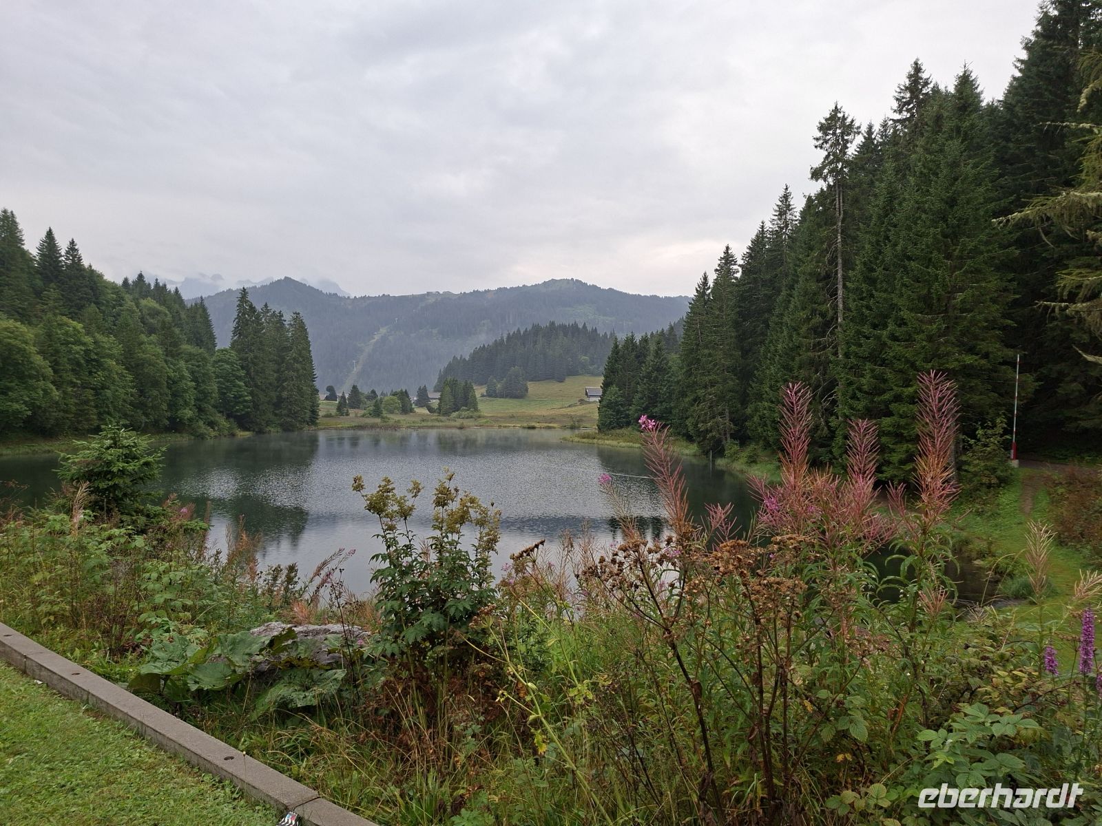 See von Chatel