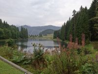 See von Chatel
