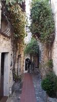 Silvester in Nizza - Perlen der Cote d' Azur (305)