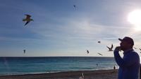 Silvester in Nizza - Perlen der Cote d' Azur (500)