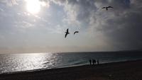 Silvester in Nizza - Perlen der Cote d' Azur (64)