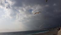 Silvester in Nizza - Perlen der Cote d' Azur (66)