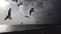 Silvester in Nizza - Perlen der Cote d' Azur (67)