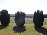 Soldatenfriedhof auf den Schlachtfeldern von Verdun