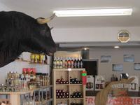 Spezialitäten der Camargue