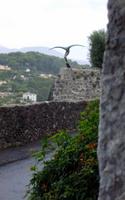 St. Paule de Vence, Ikarus