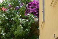 St. Tropez