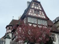 Straßburg 