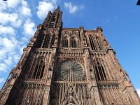 Straßburger Münster am Abend
