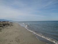 Strand Lucciana