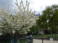 Tag 1 06.04.2023  Entdeckerspaziergang Rive Gauche