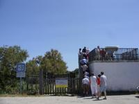 Tag 10 - 5 - Camargue - Tierbeobachtungen (2)