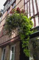 Tag 10 Rouen