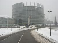 Tag 2 - 1 - Stadtführung Strasbourg - Europaparlament im Winter