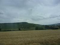 Tag 2 - 3 - Weinberge in der Champagne (1)