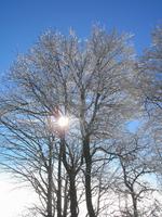 Tag 3 - 2 - Silvester - Col de Bagnelles (3)