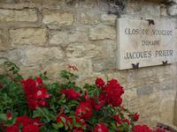 Tag 3 - 4 - Besuch des Weinguts Clos de Vougeot (0)