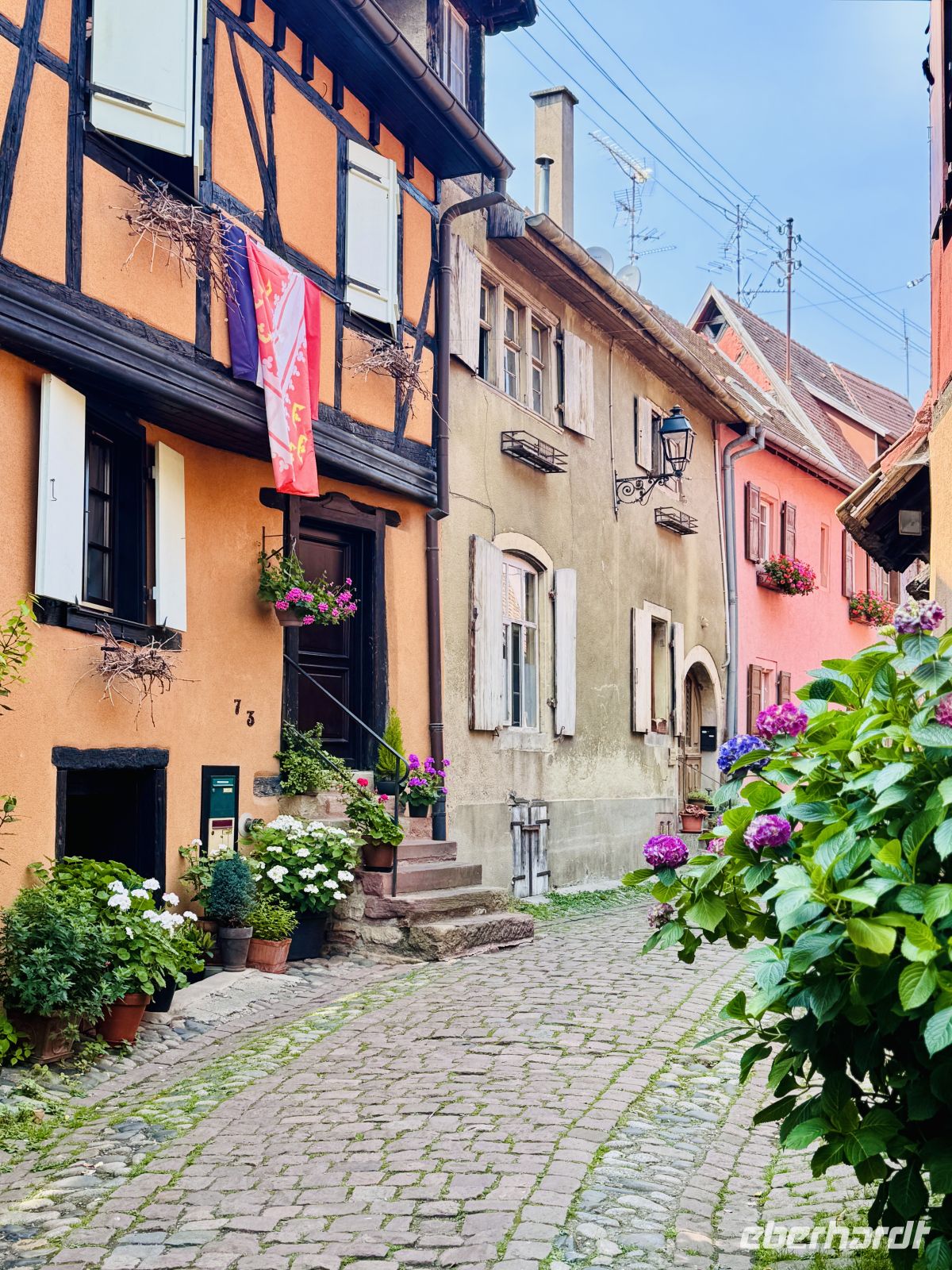 Tag 3 - Eguisheim 