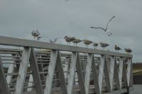 Tag 3 Ouistreham 
