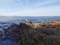 Tag 3 St. Tropez  