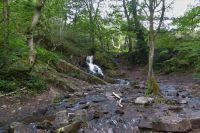 Tag 3 Wanderung im Wald von Brocéliande 