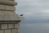 Tag 4 Besuch im Fürstentum Monaco 
