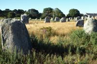 Tag 4 Carnac  