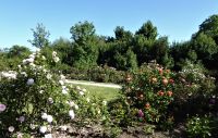 Tag 4 Jardin Suspendus, Le Havre