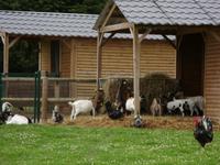 Tag 7 - 5 - Besuch des Parc de la Colline des Oiseaux in Caen (4)