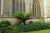 Tag 7 Stadtführung Quimper