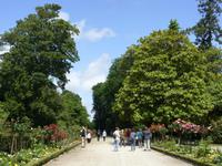 Tag 8 - 3 - Bummel durch den Jardin des Plantes von Coutances (5)