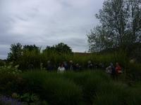 Tag 9 - 3 - Besichtigung des Jardin Francois (3)