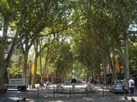 Tag Aix Cours Mirabeau