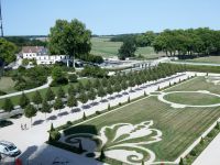 Teppich aus Pflanzen