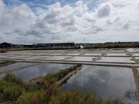 Terre de Sel (3)